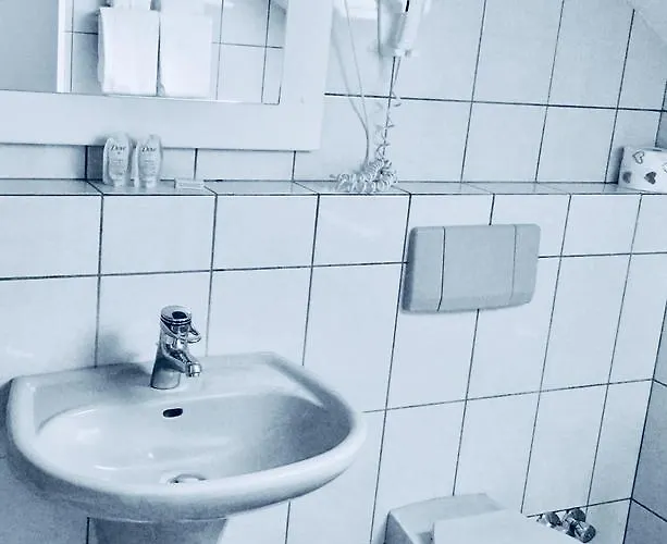 Petersburg 酒店 3*